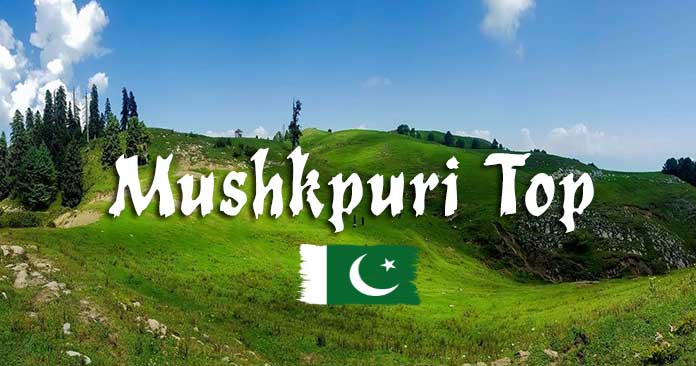 Mushkpuri Top Nathia Gali Hills Abbottabad District KPK