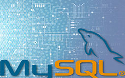 mysql