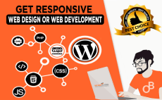 I will do any kind of web development or web design related work