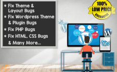 I will fix bugs in your wordpress theme plugins html css php