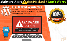 I will remove malware malicious code your hacked wordpress website